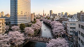 目黒区の女性専用出張マッサージ。目黒・中目黒・自由が丘・武蔵小山周辺などへ男性セラピストが伺い、女性向けオイルマッサージでゆったりとした時間をお届けします。